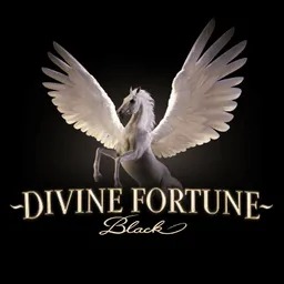 Divine Fortune Black